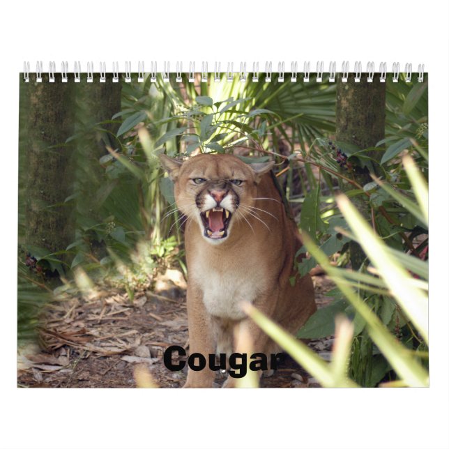 Calendario Puma 001, puma (Tapa)