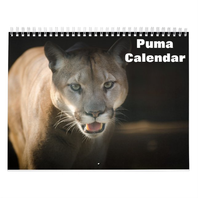 Calendario Puma 2026 (Tapa)