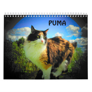 Calendario Puma, mi calicó, mi top model