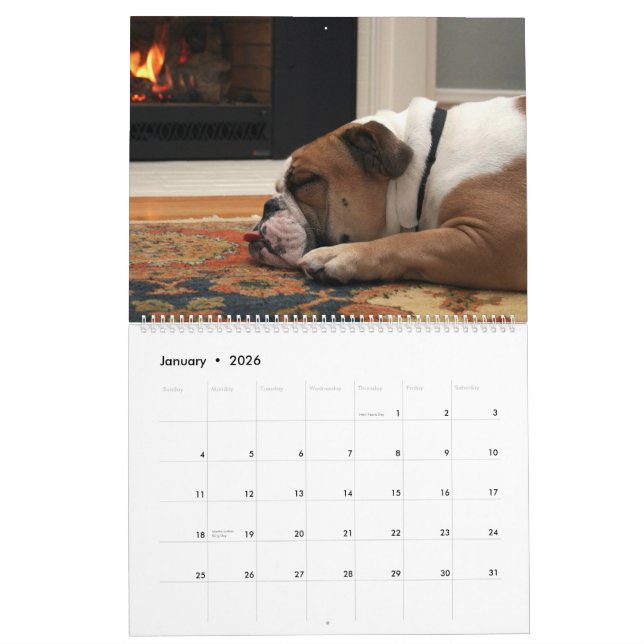 Calendario Pumbaa (Jan 2026)