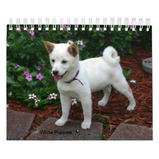 Calendario Puppies whites