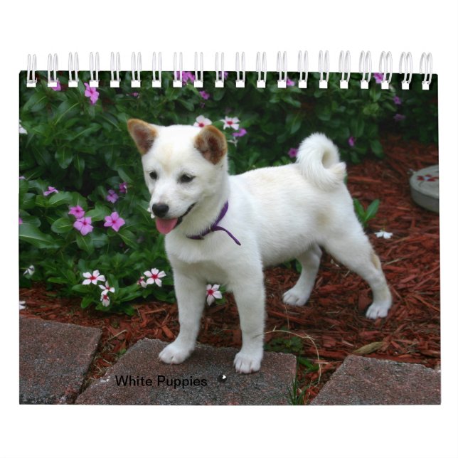 Calendario Puppies whites (Tapa)