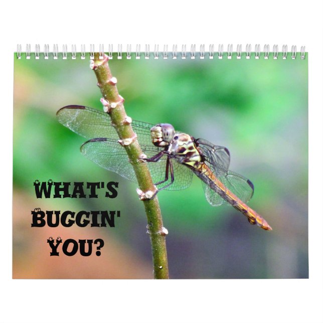 Calendario ¿Qué está pasando? - Insect Calendar Edition 2 (Tapa)