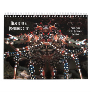 Calendario ¿Quién cuida si es estacional?