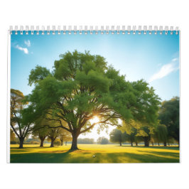 Calendario Quiet Time With a Big Tree 