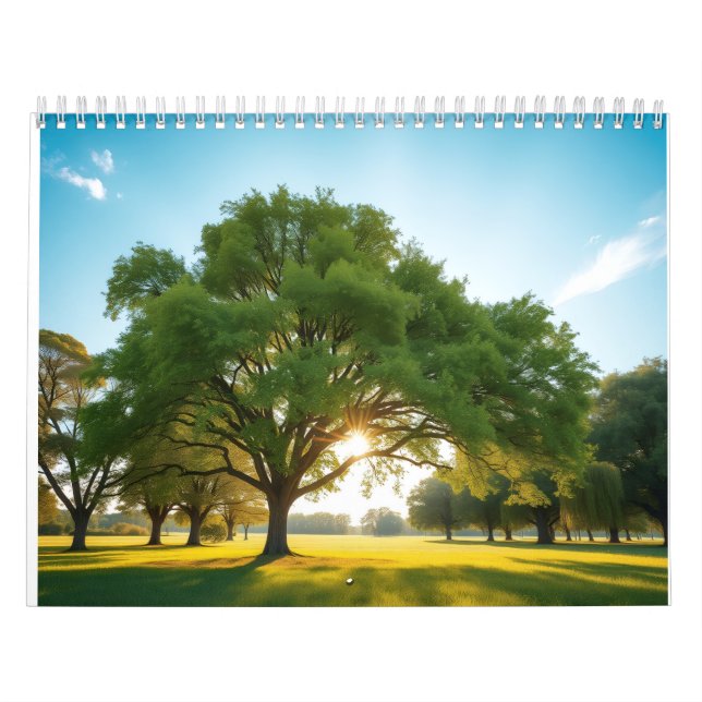 Calendario Quiet Time With a Big Tree  (Tapa)