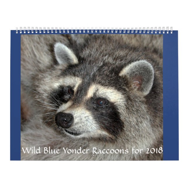 Calendario Racconones de yonder azul silvestre de 2018 (Tapa)