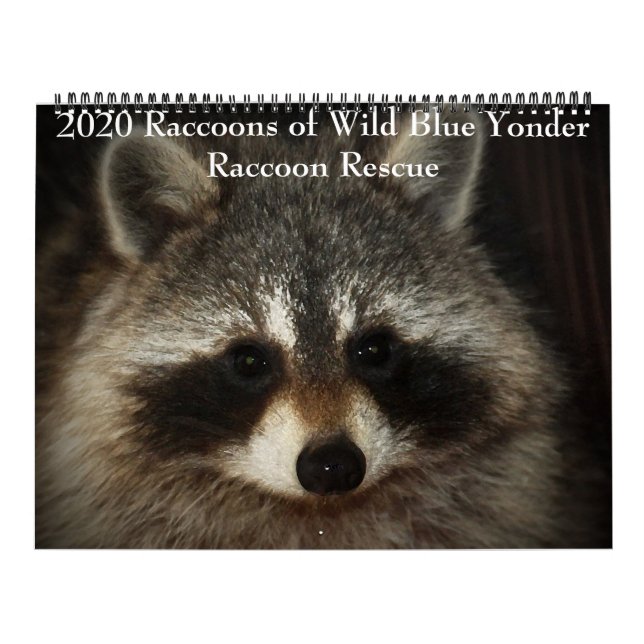 Calendario Racconones del salvaje rescate de Raccoon de Yonde (Tapa)