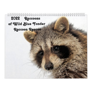 Calendario Racconones del salvaje rescate de Raccoon Yonder a