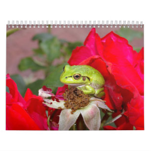 Calendario Ranas 2009