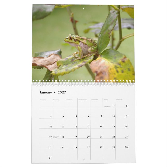 Calendario Ranas 2009 (Jan 2027)