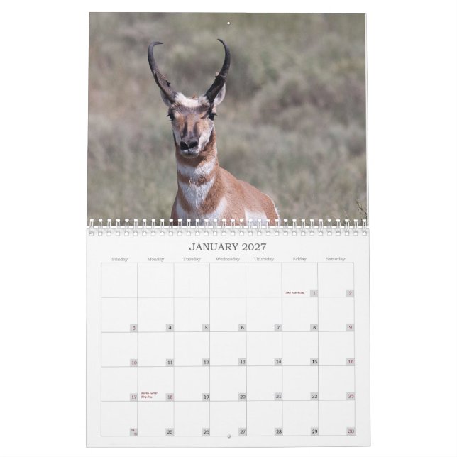 Calendario Rancho de 2012 pozos (Jan 2027)
