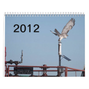 Calendario Rancho de 2012 pozos
