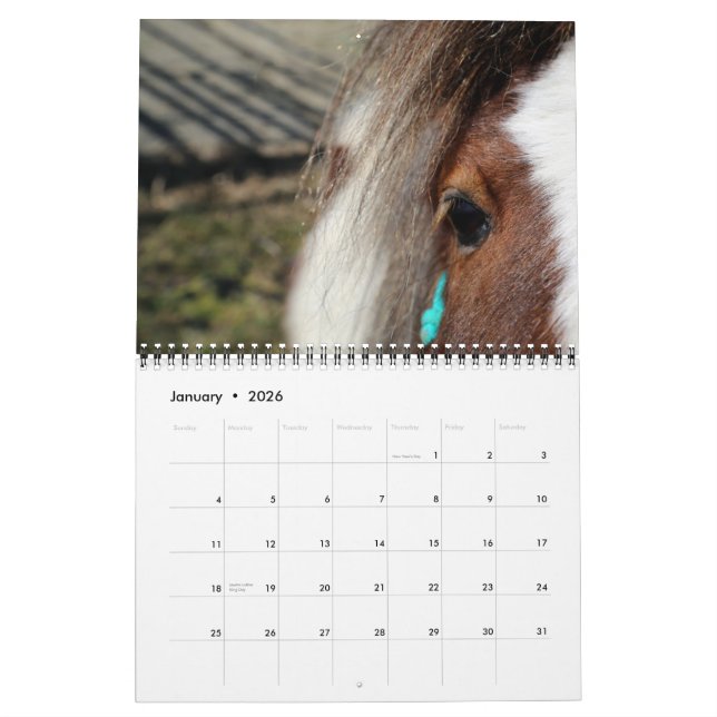 Calendario ¡Rancho-Hordas de Edelweiss de caballos! (Jan 2026)