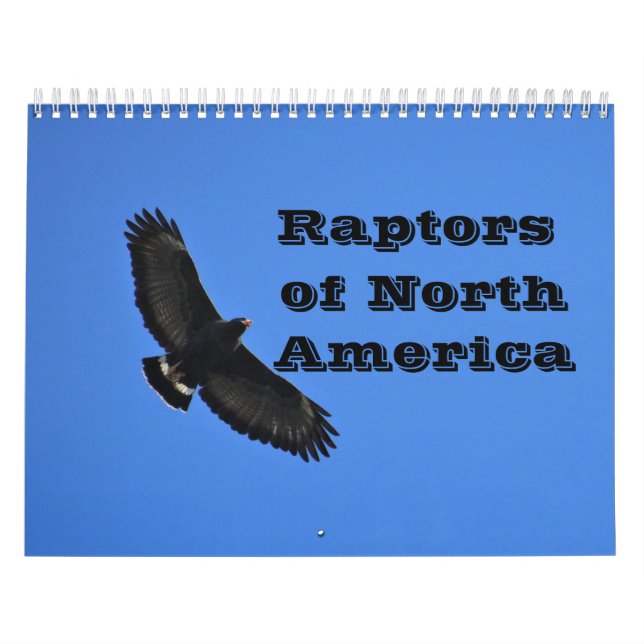 Calendario - Raptores (aves de presa) de América d (Tapa)