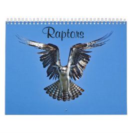 Calendario Raptors