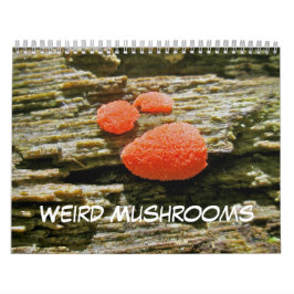 Calendario Raro Mushrooms