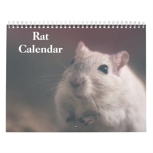 Calendario Rata 2025 (Tapa)