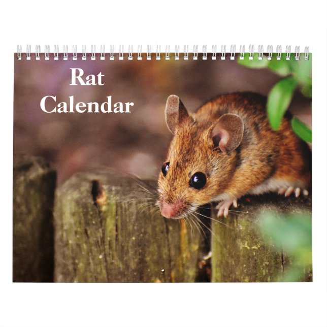 Calendario Rata 2026 (Tapa)