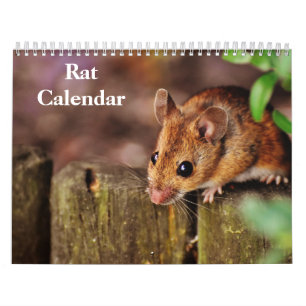 Calendario Rata 2027