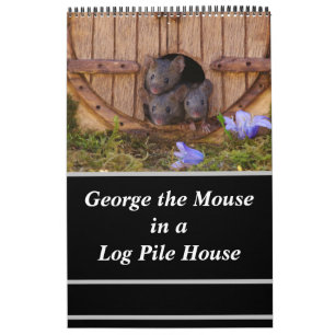 Calendario ratones - George el ratón en una casa de montón 