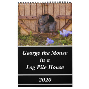 Calendario ratones - George el ratón en una casa de montón 