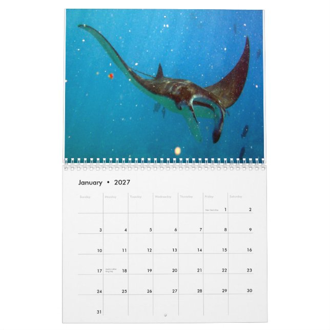 Calendario Rayos de Manta de Hawaii, anguilas y pulpo (Jan 2027)