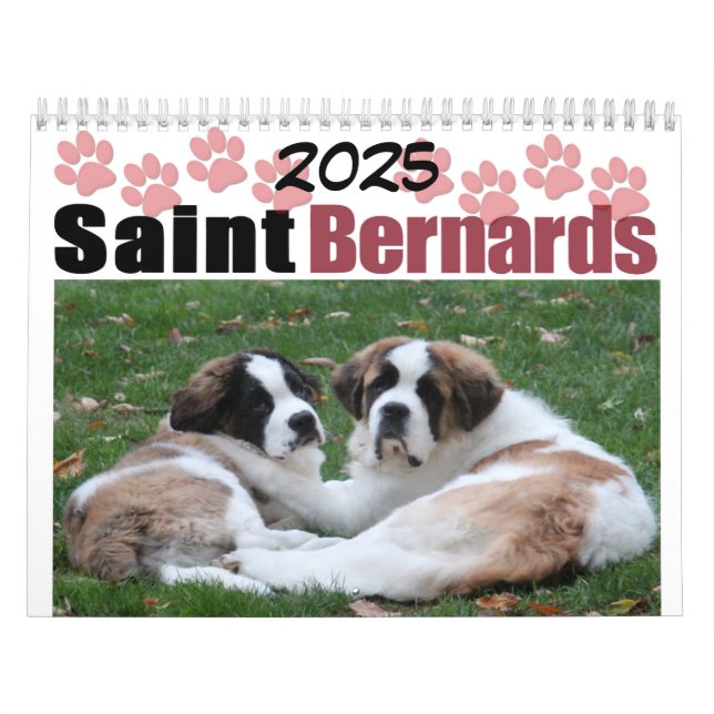 Calendario Raza de perro lindo cachorro San Bernardo (Tapa)