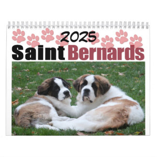 Calendario Raza de perro lindo cachorro San Bernardo