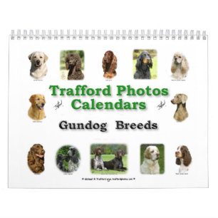 Calendario Razas de Gundog