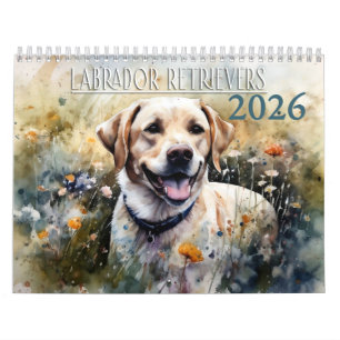Calendario Recuperador de Labrador 2026