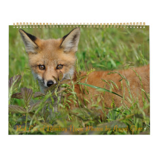 Calendario Red Fox de Angel Cher