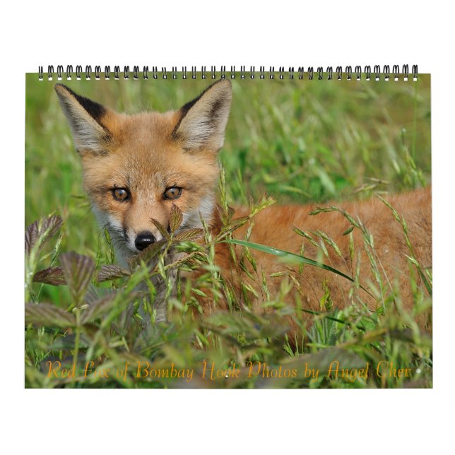 Calendario Red Fox de Angel Cher (Tapa)