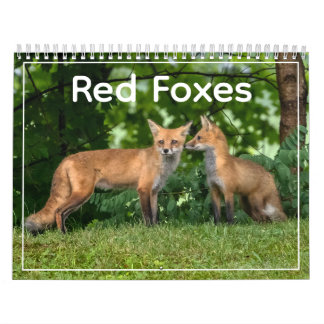 Calendario Red Foxes Calendar