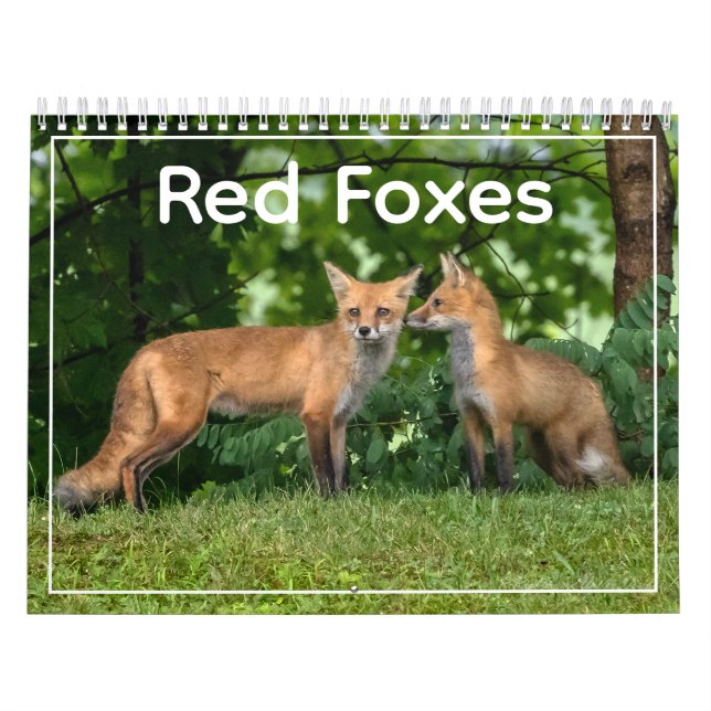 Calendario Red Foxes Calendar (Tapa)
