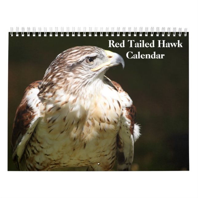 Calendario Red Tailed Hawk 2023 Calendar (Tapa)