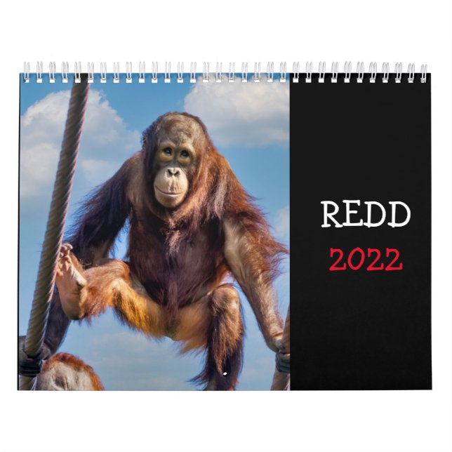 Calendario Redd 2022 (Tapa)