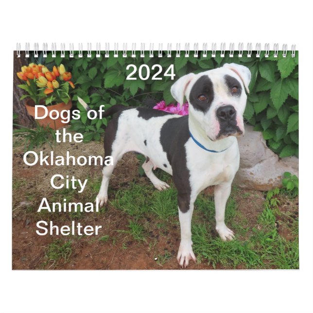Calendario Refugio de animales en la ciudad de Oklahoma 2024 (Tapa)
