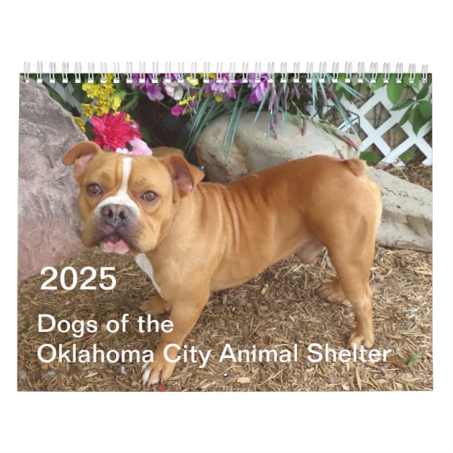 Calendario Refugio de animales en la ciudad de Oklahoma 2025 (Tapa)