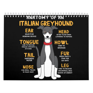 Calendario Regalo de mamá de perro divertida y anatomía ita