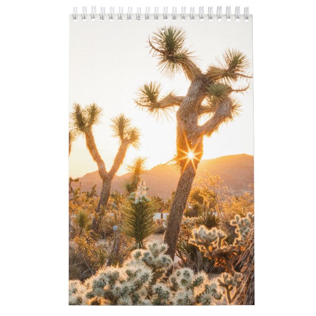 Calendario Regalo fotográfico del desierto con Cactus (Tapa)