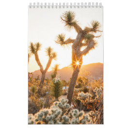 Calendario Regalo fotográfico del desierto con Cactus
