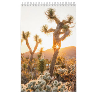 Calendario Regalo fotográfico del desierto con Cactus