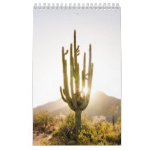 Regalo fotográfico del desierto con Cactus