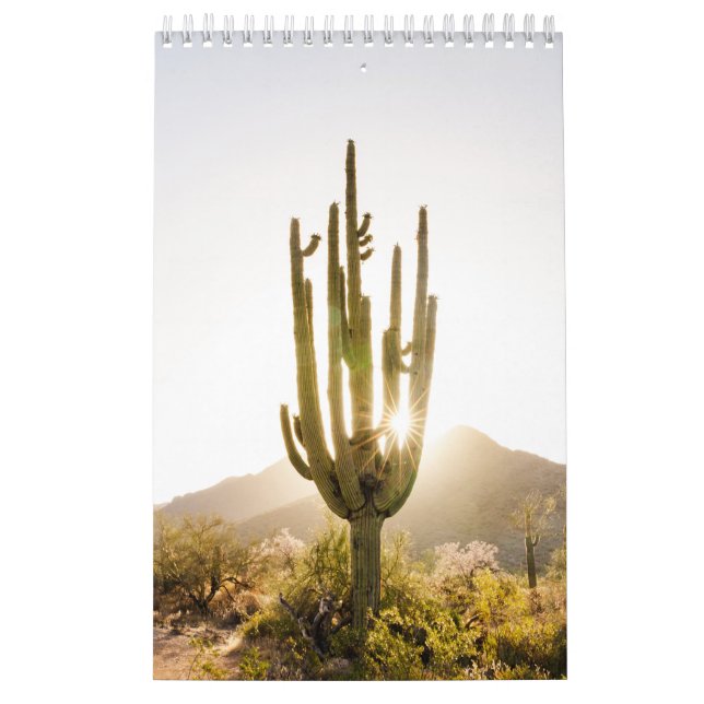 Calendario Regalo fotográfico del desierto con Cactus (Tapa)
