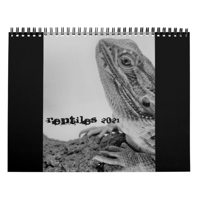 Calendario Reptile 2021 (Tapa)