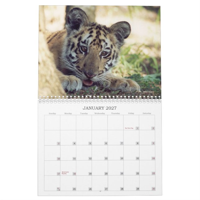 Calendario rescatado de los animales (Jan 2027)