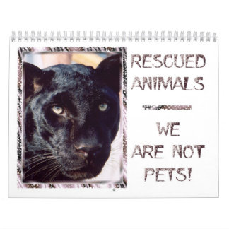 Calendario rescatado de los animales