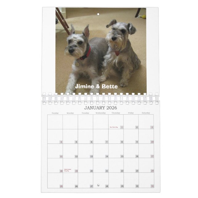 Calendario Rescate del Schnauzer del 2012 Mediados (Jan 2026)