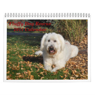 Calendario Rescate fluffy Dog